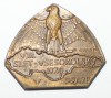 Знак Всесокольского слета в Праге. 1926г. "Чешский сокол", бронза, состояние XF - Мир монет