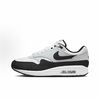 Кроссовки Nike Air Max 1 - Мир монет