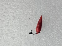 Елочная игрушка для мини-елки СССР, стекло. Морковь. - Мир монет