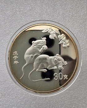 Подарочный жетон  "Год  Крысы", серебрение,  UNC, в капсуле. - Мир монет