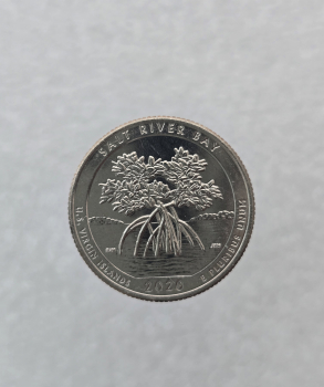 25 центов 2020г. США.  D . Национальный исторический парк № 43- Бухта Соленой реки. Виргинские острова, состояние UNC.  - Мир монет